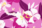 CAA1524 Purple
