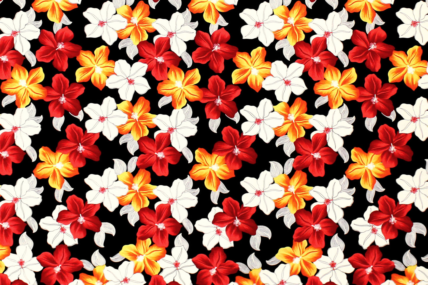 CAA1525 Black/Red