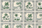 CAA1527 Green
