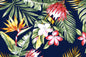 CAA1529 Navy