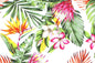 CAA1529 White