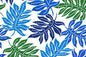 CAA1531 Blue