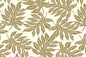 CAA1531 Coconut