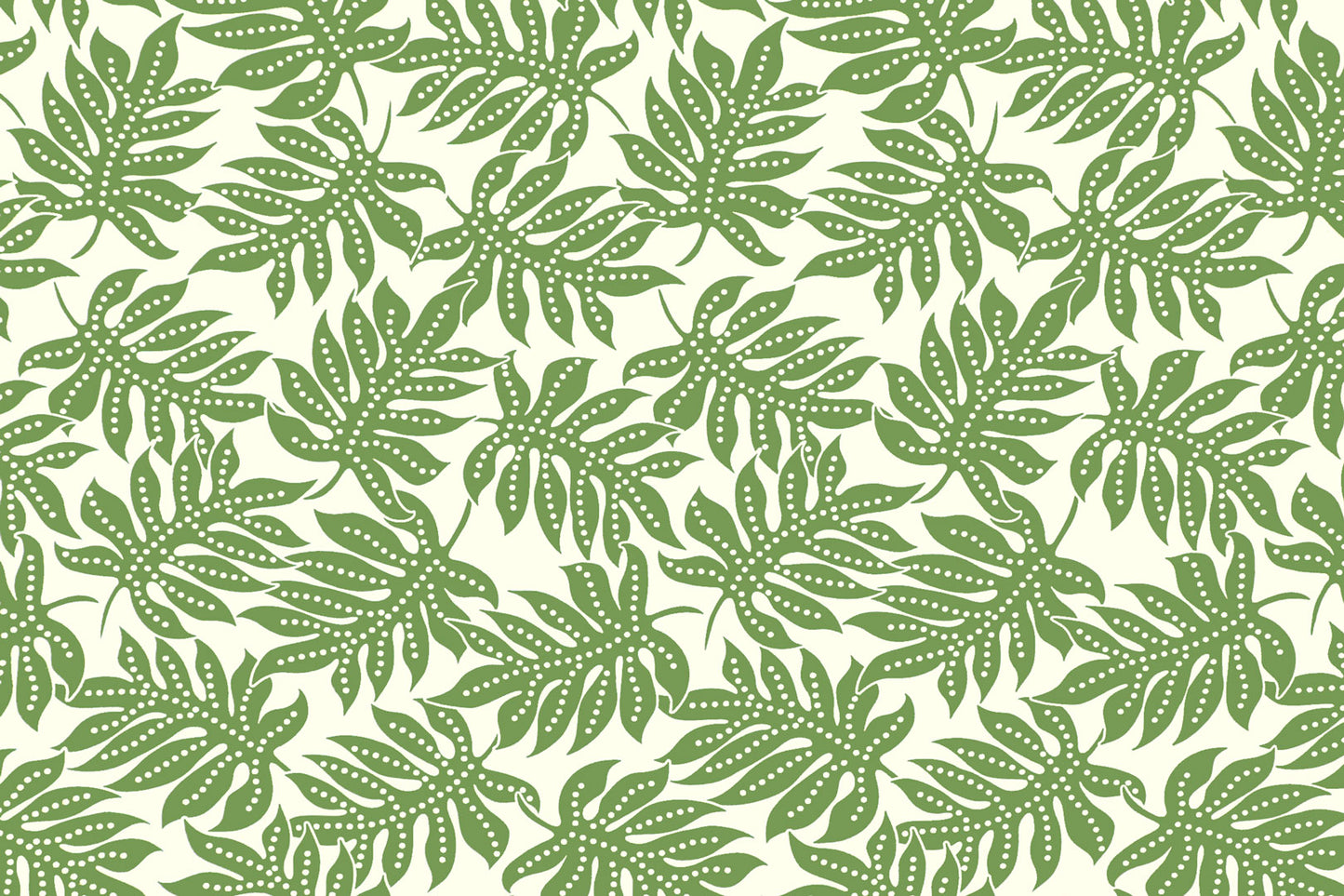 CAA1531 Olive