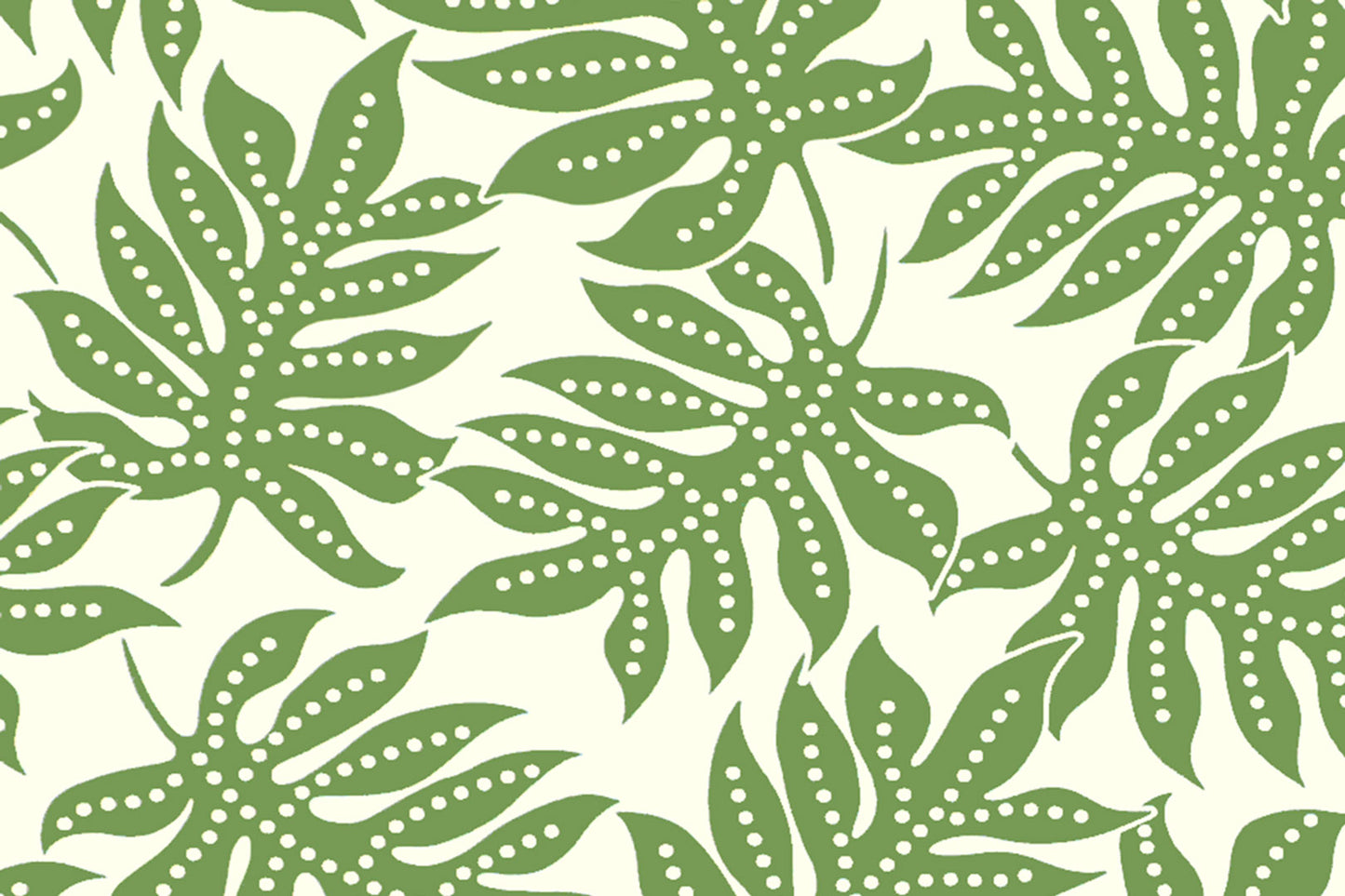 CAA1531 Olive