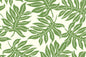 CAA1531 Olive