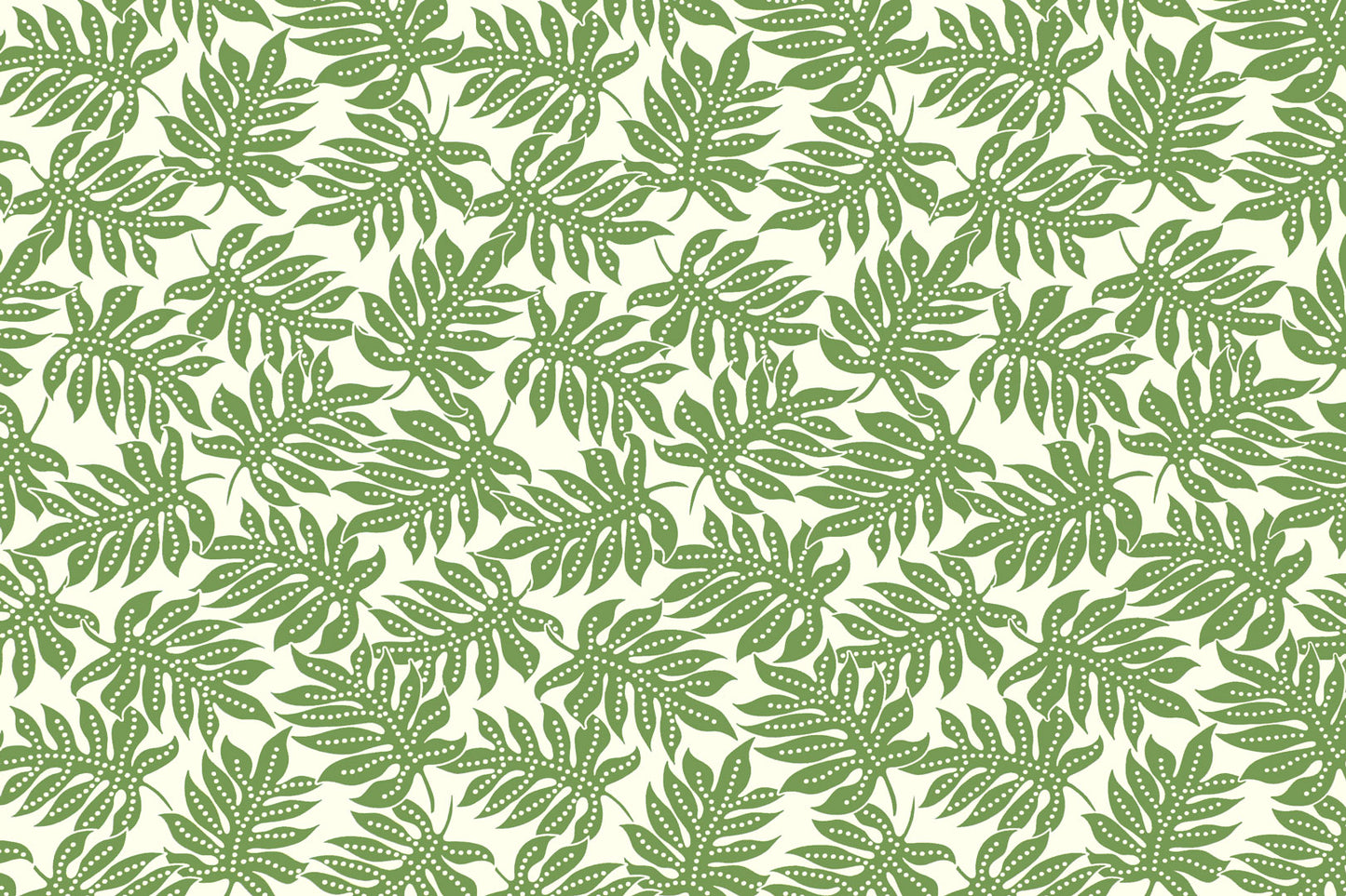 CAA1531 Olive