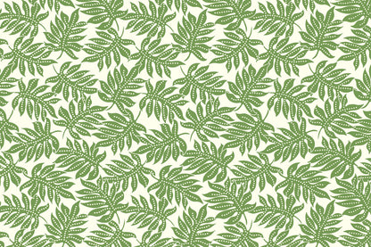 CAA1531 Olive