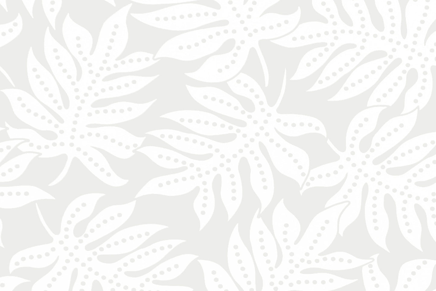 CAA1531 White/White