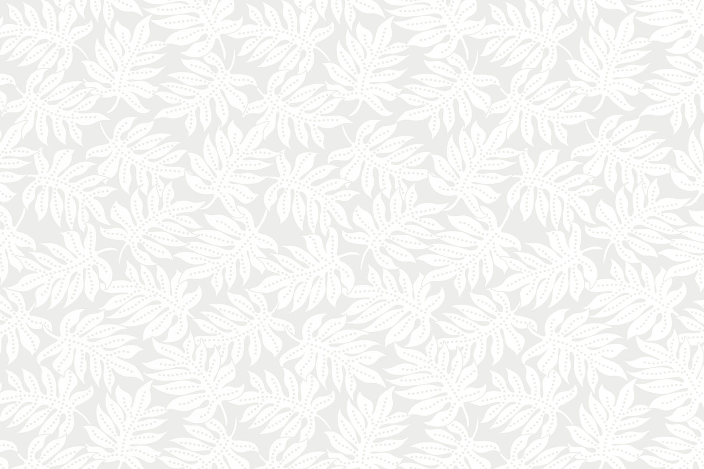 CAA1531 White/White
