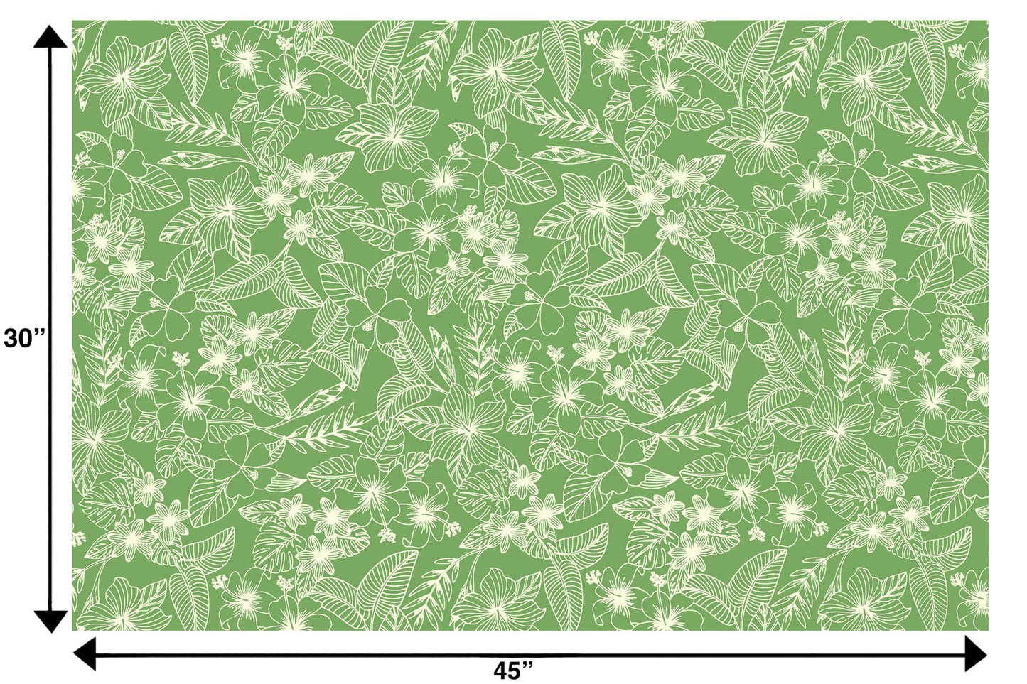 CAA1532 Avocado