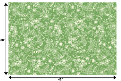 CAA1532 Avocado