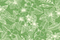CAA1532 Avocado