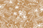 CAA1532 Coconut