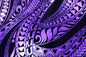 CAB0272 Purple