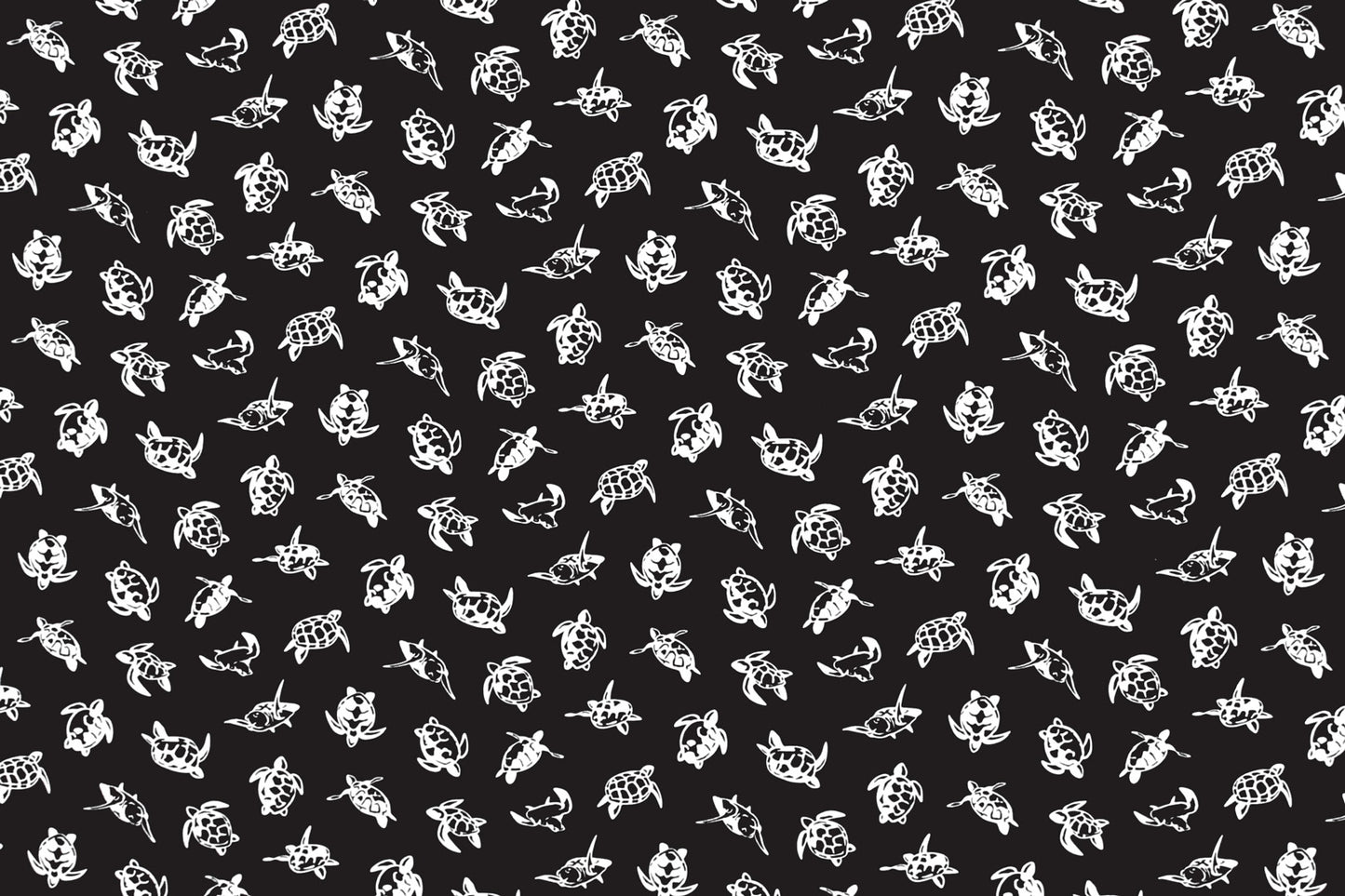 CAB0353 Black