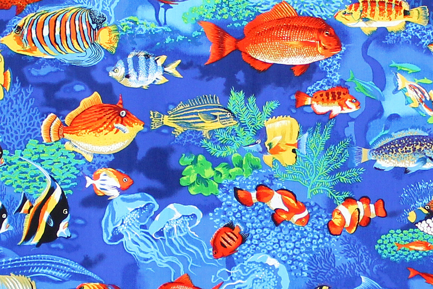 CAB0366 Blue