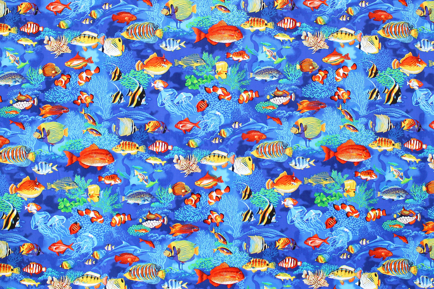CAB0366 Blue