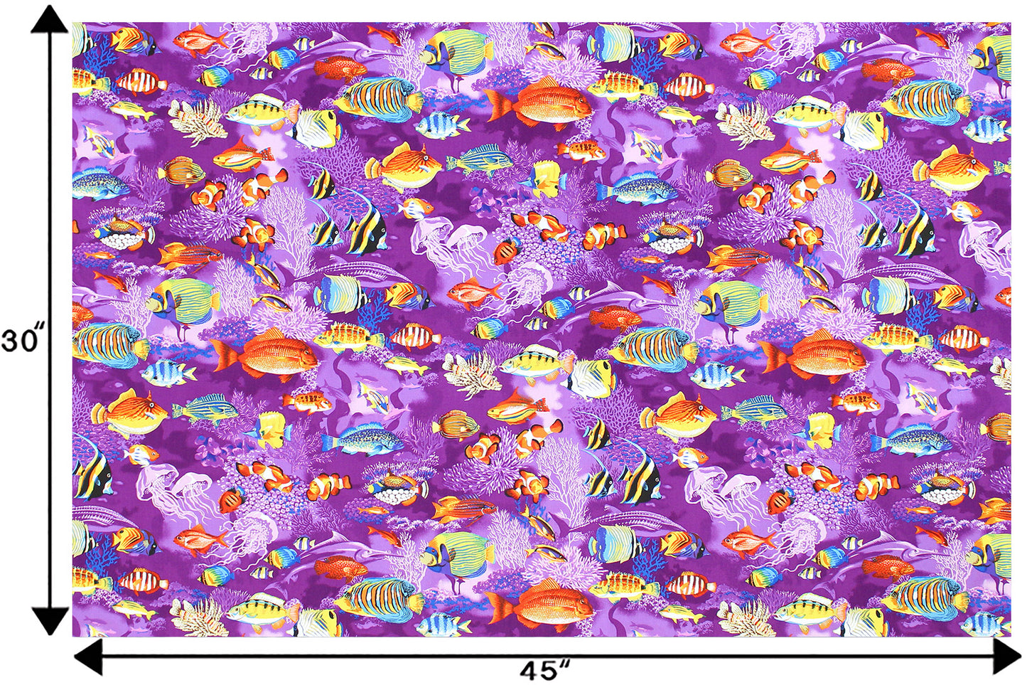 CAB0366 Purple