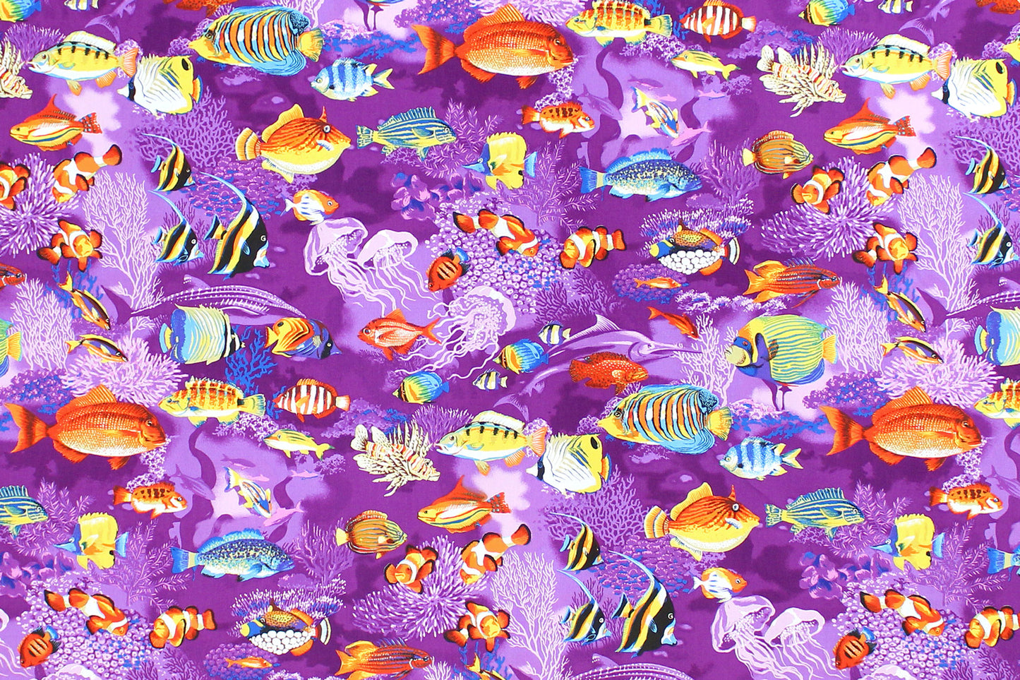 CAB0366 Purple