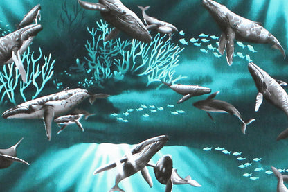 CAB0377 Aqua