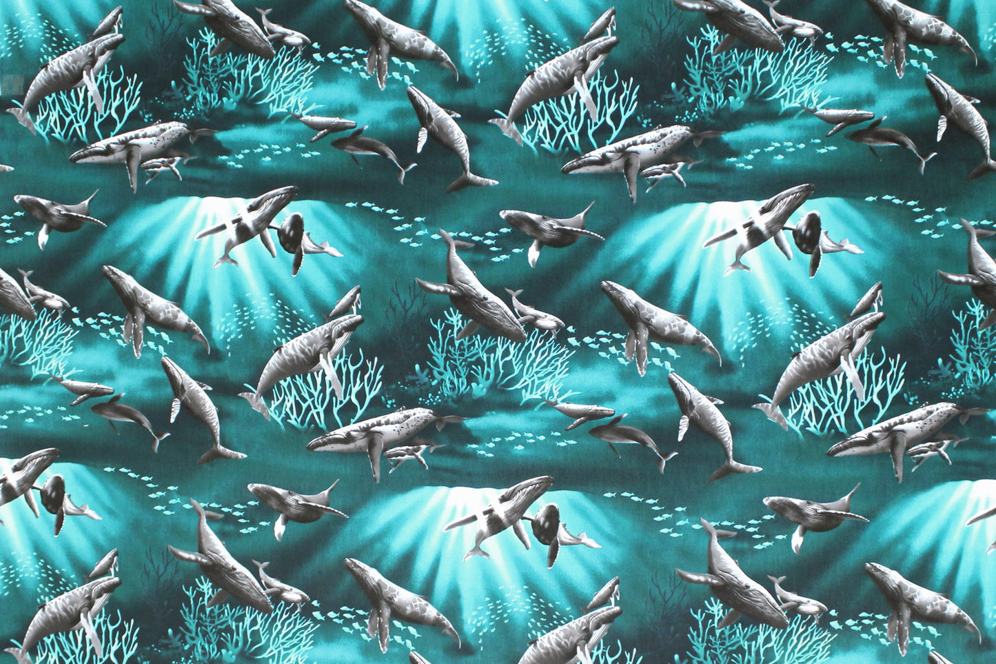 CAB0377 Aqua