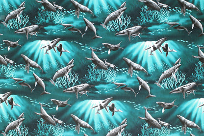 CAB0377 Aqua