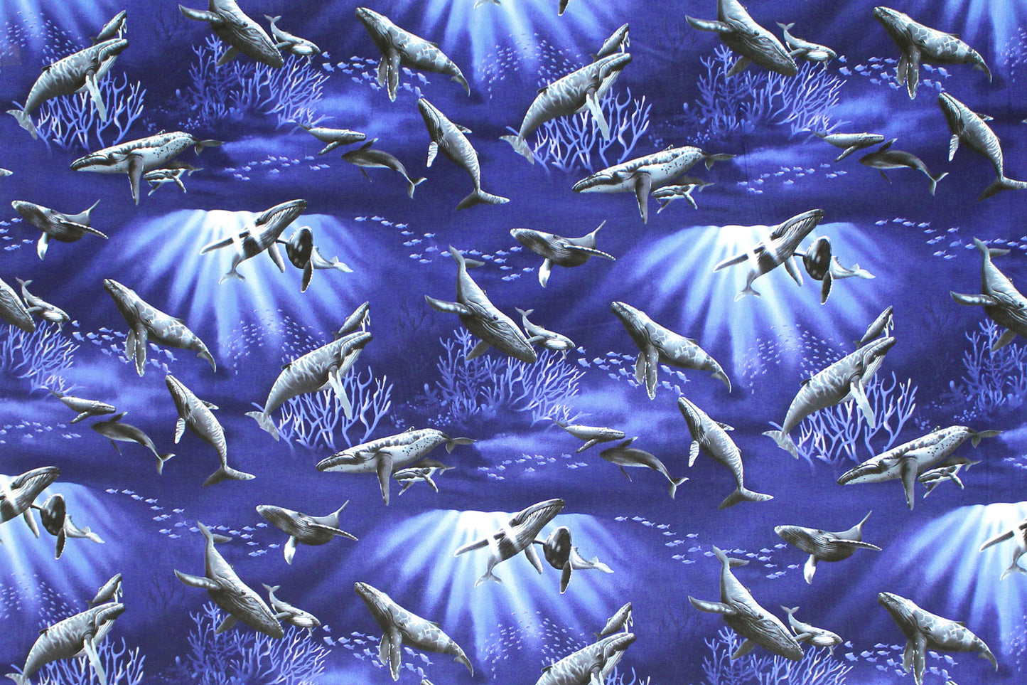 CAB0377 Blue