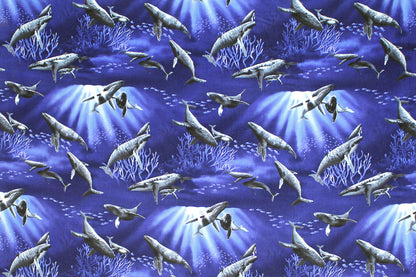CAB0377 Blue