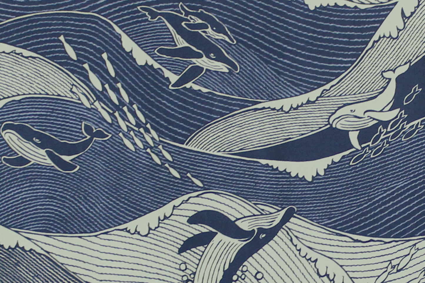 CAB0382 Navy