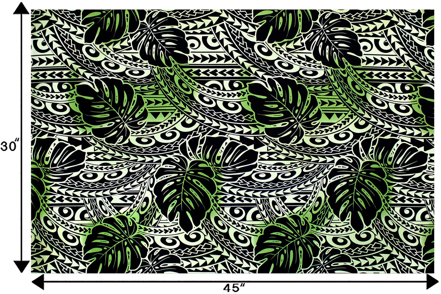 CAB0391 Sage