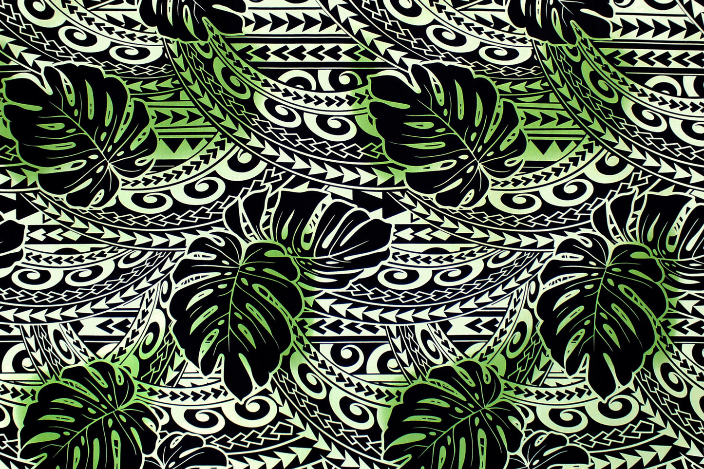 CAB0391 Sage