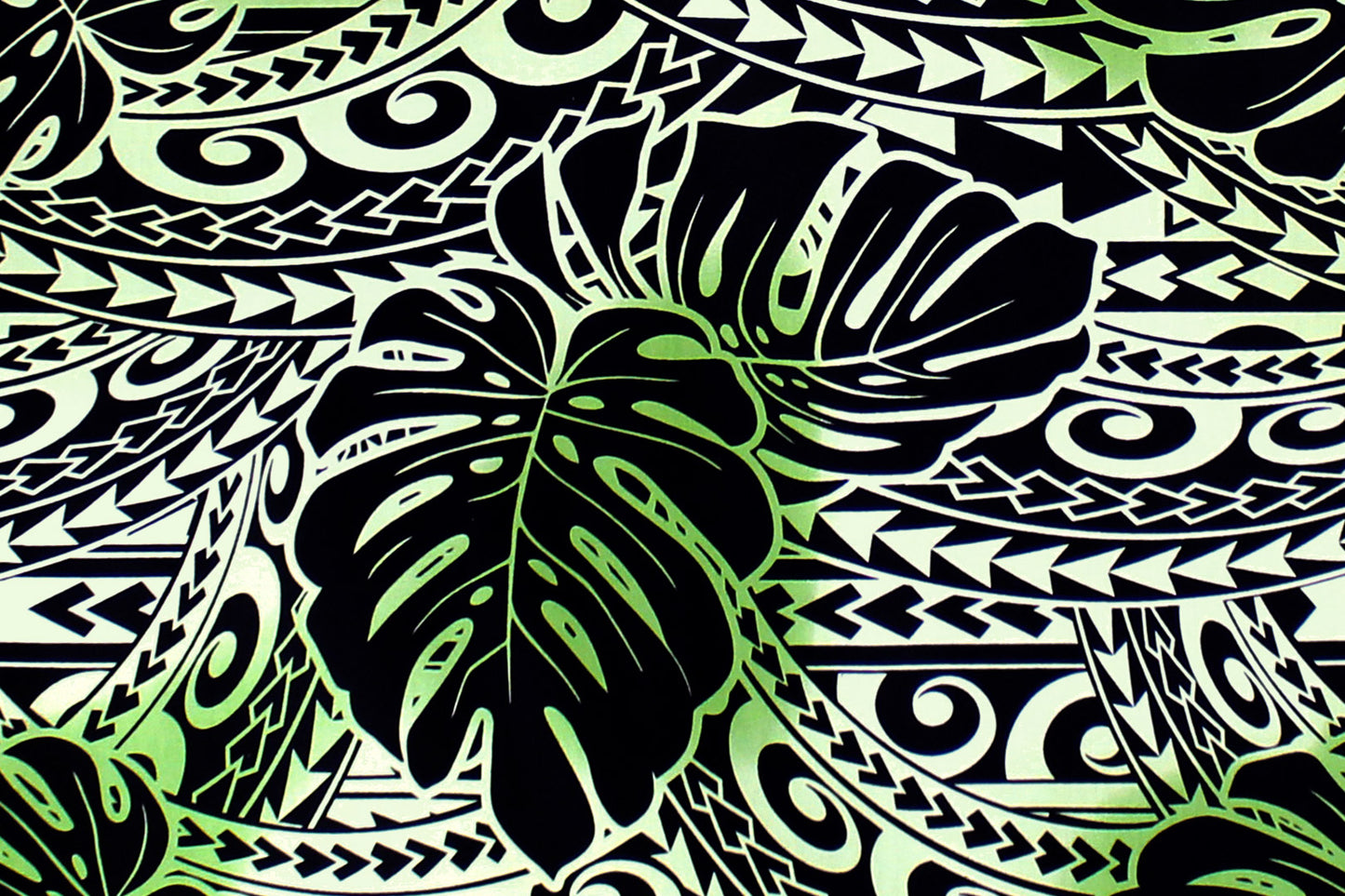 CAB0391 Sage