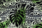 CAB0391 Sage