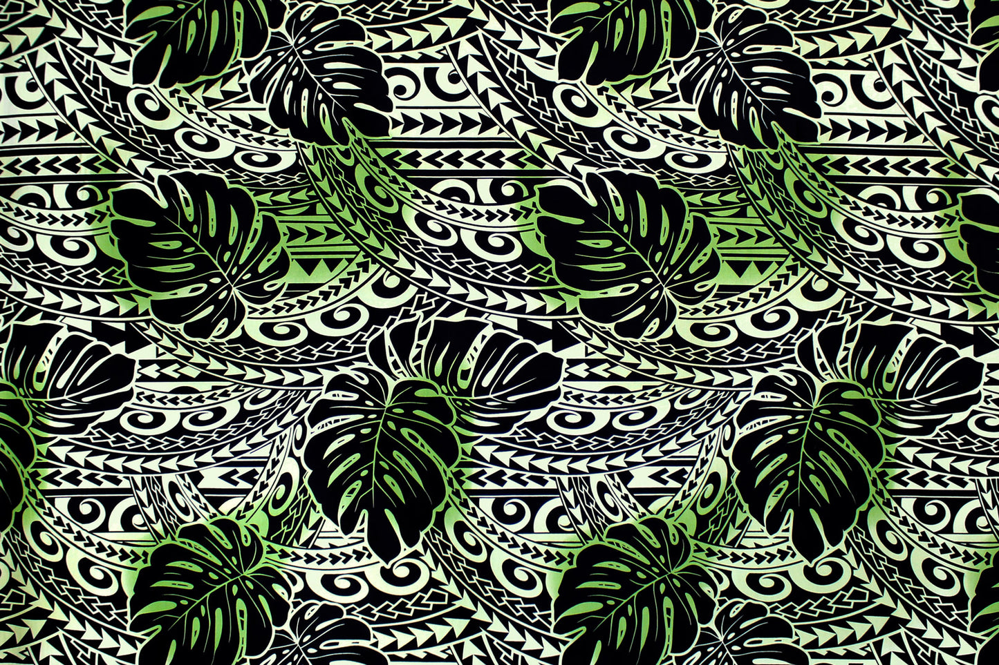 CAB0391 Sage