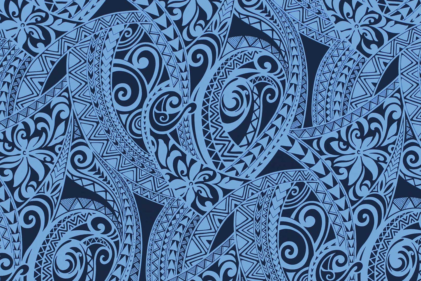 CAB0401 Navy