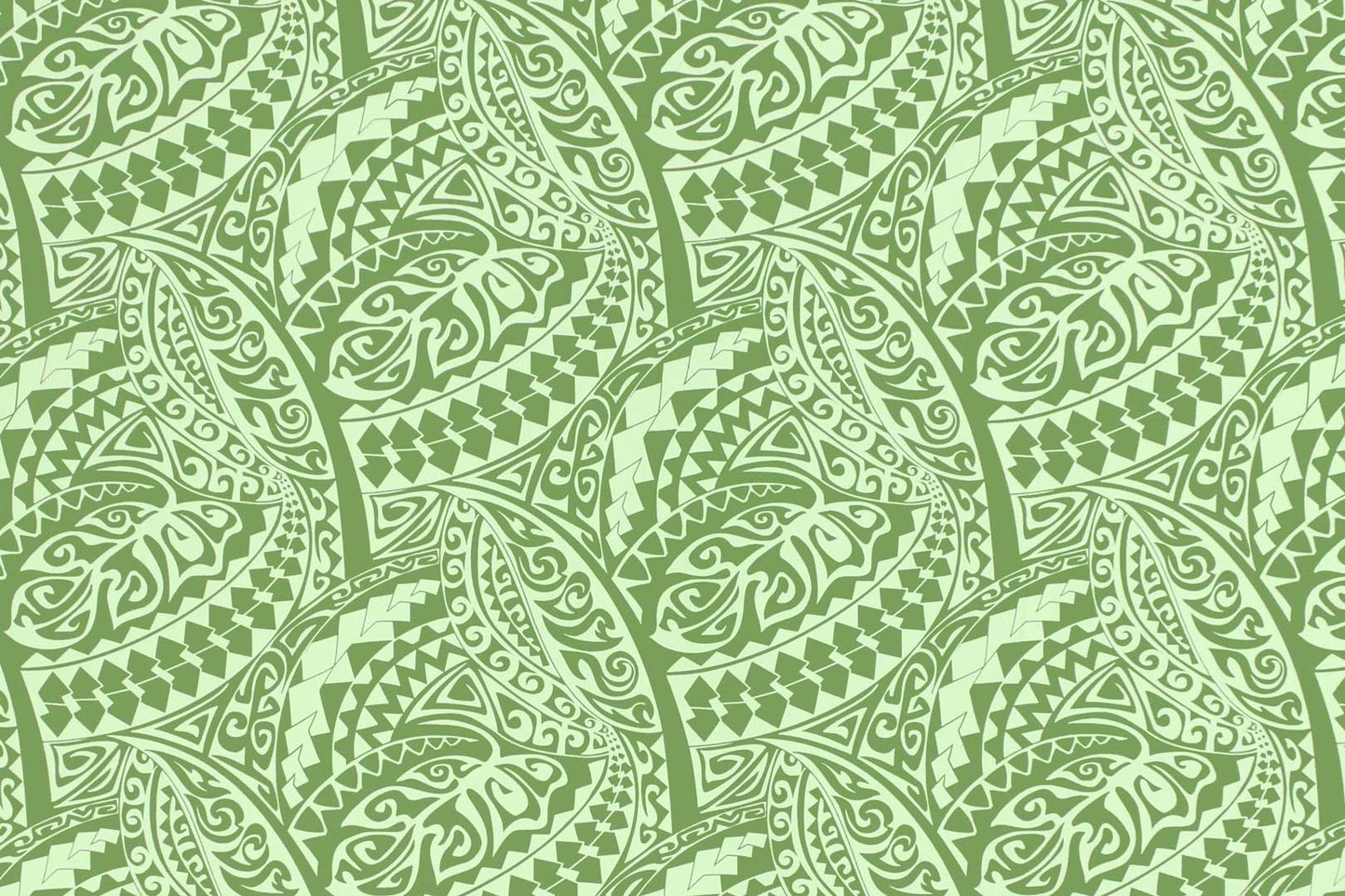 CAB0403 Avocado