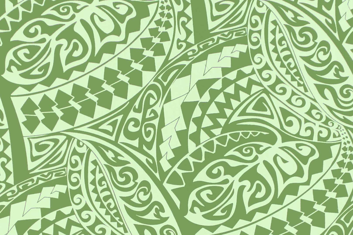 CAB0403 Avocado