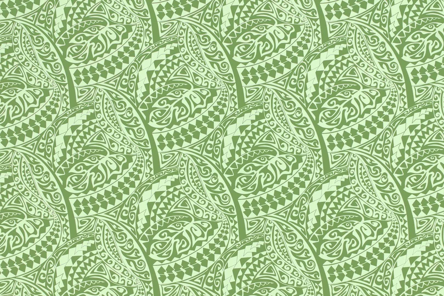 CAB0403 Avocado