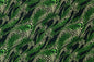CAB0416 Green