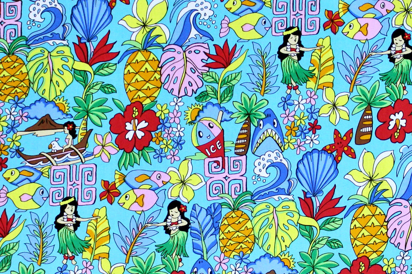 CAC0501 Turquoise