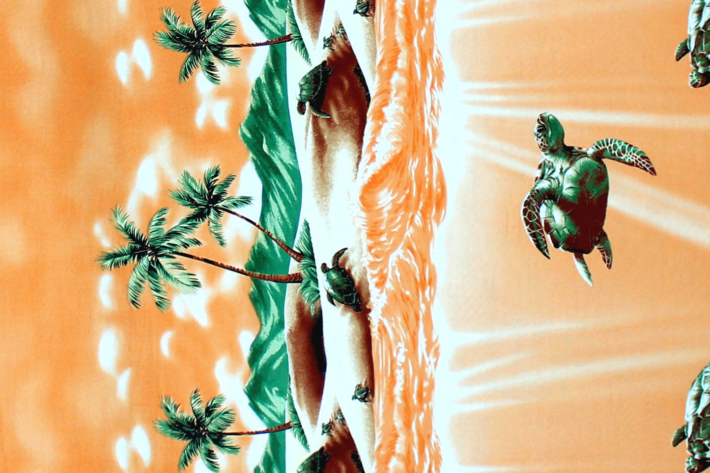 CBB0002 Orange