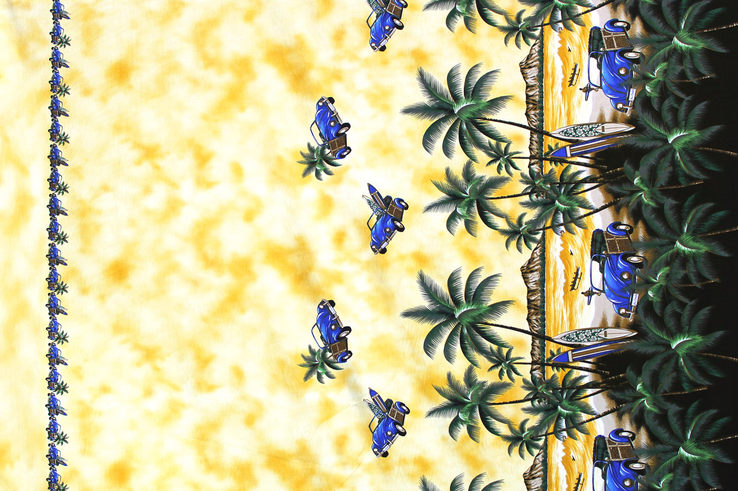 CBB0005 Maize