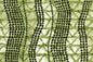 CBC0039 Green