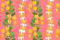 CBC0041 Coral