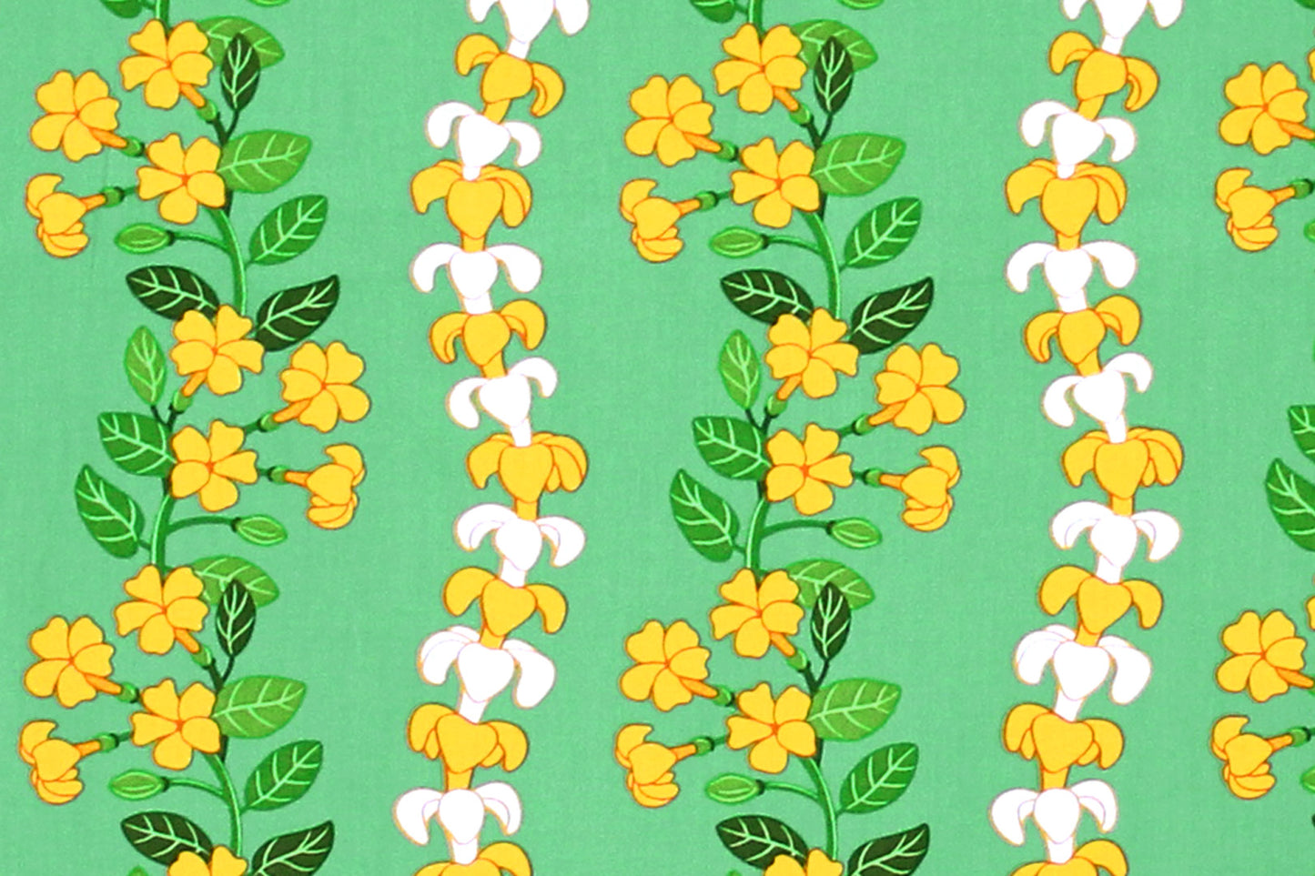 CBC0041 Sage