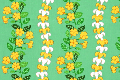 CBC0041 Sage