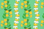 CBC0041 Sage