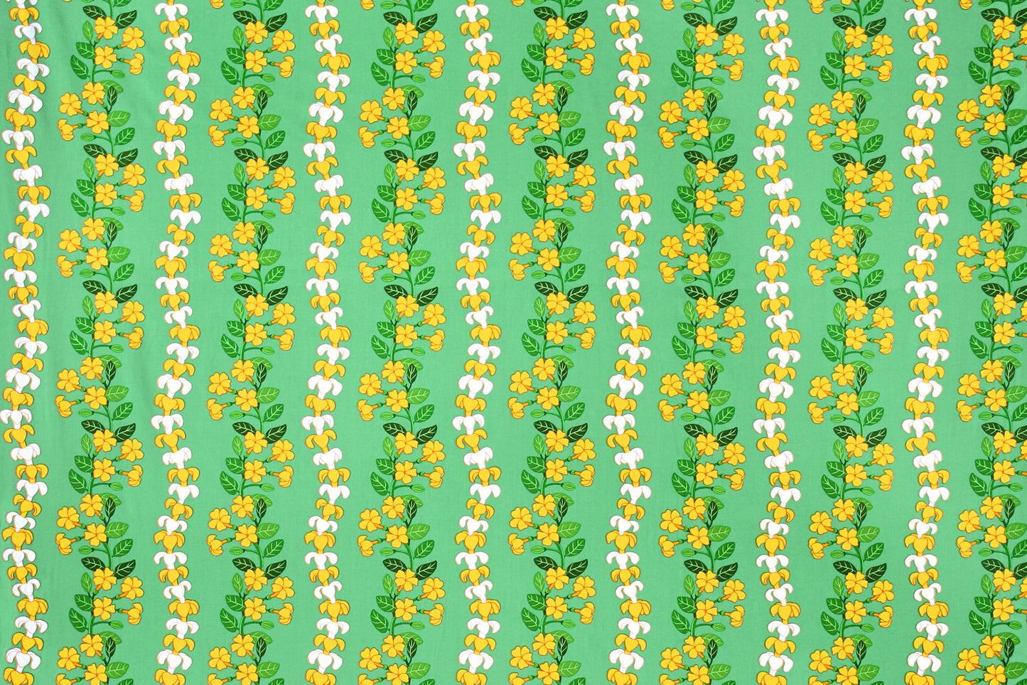 CBC0041 Sage