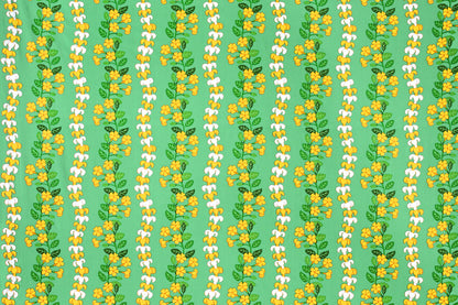 CBC0041 Sage